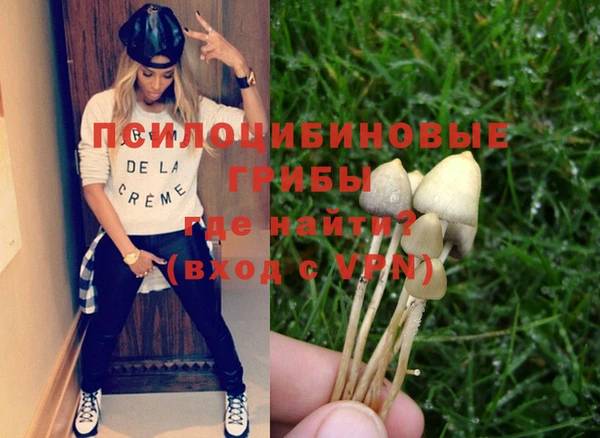 spice Тында