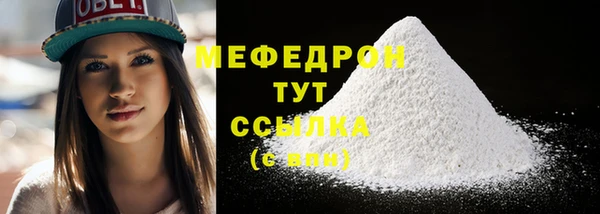 СК Туринск