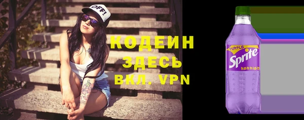 spice Тында