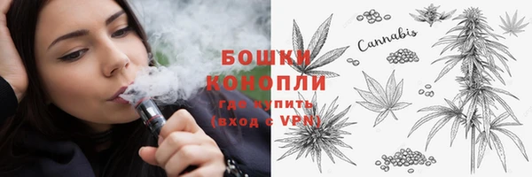 spice Тында