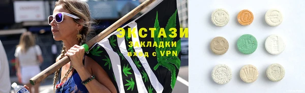 СК Туринск