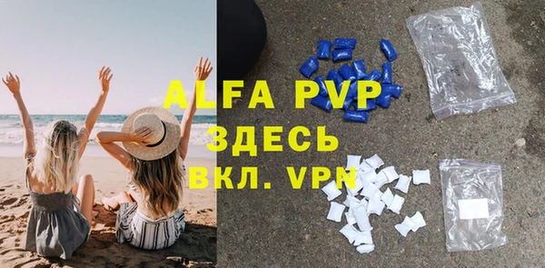 СК Туринск