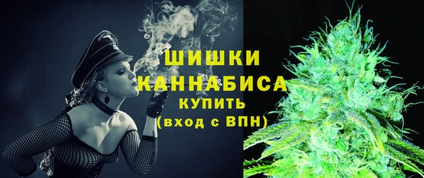 СК Туринск