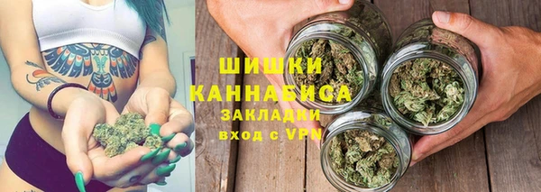 spice Тында