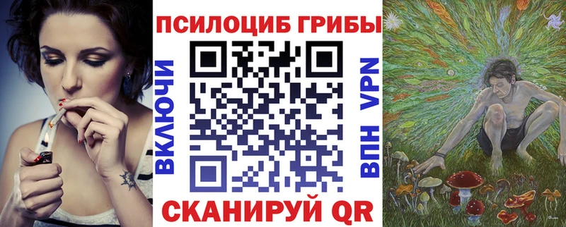наркотики  мега маркетплейс  Псилоцибиновые грибы Psilocybe  Шебекино 